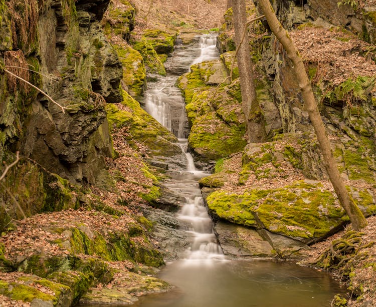 Waterfall Among Trees