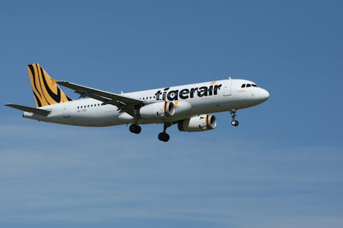 Tigerair 비행기 촬영