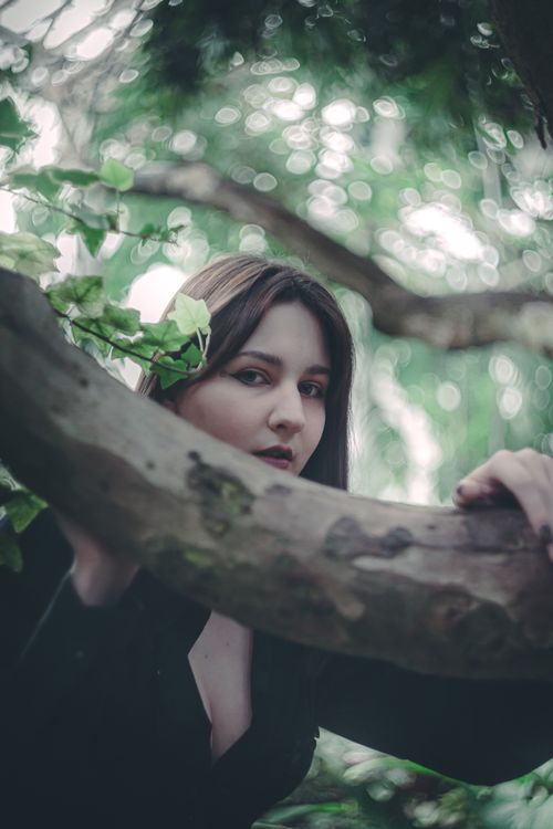 Free A woman posing creatively with tree branches in an outdoor setting. Stock Photo