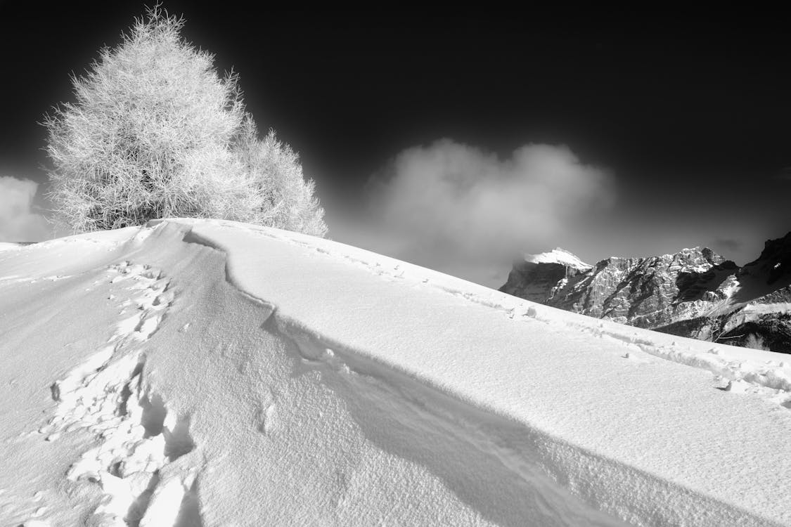 低角度拍攝, 大雪覆盖的地面, 山 的 免费素材图片