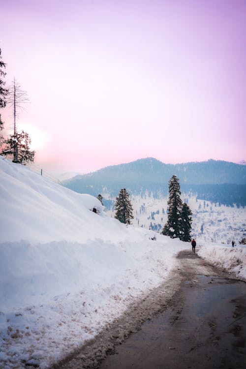 Fotobanka s bezplatnými fotkami na tému cestička, chladný, chodník