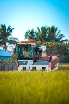 Red and Black Tractor on Green Grass Field