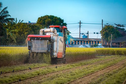 Free A combine harvester operates in a lush agricultural field on a sunny day. Stock Photo