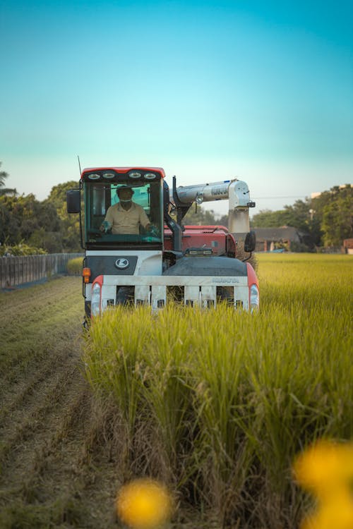 Man in a Tractor Harvesting 