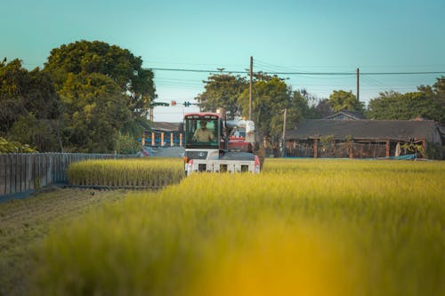 Man in Harvester on Field