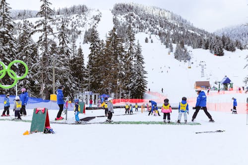 Základová fotografie zdarma na téma borovice, děti, jízda na snowboardu