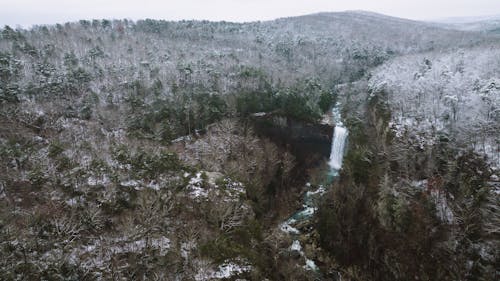 Waterfalls Near Trees on Mountains