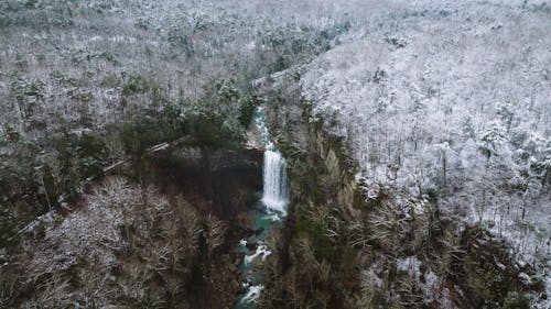 Foto profissional grátis de cachoeira, cânion, floresta