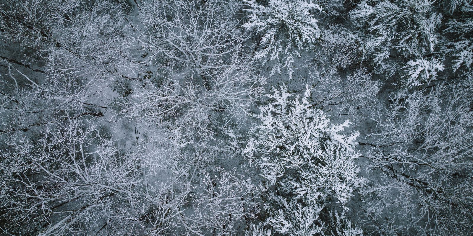 Aerial view of a snow-covered forested mountain valley