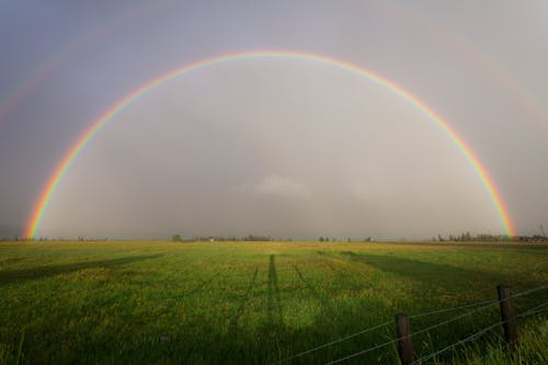 Imagine de stoc gratuită din agricultură, câmp, cer