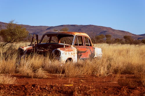 免費 鏽蝕的老式白色和紅色轎車在棕色草地上的照片 圖庫相片
