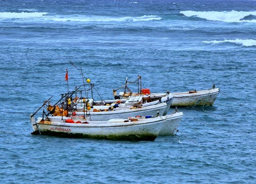 Foto profissional grátis de água, barcos, embarcações