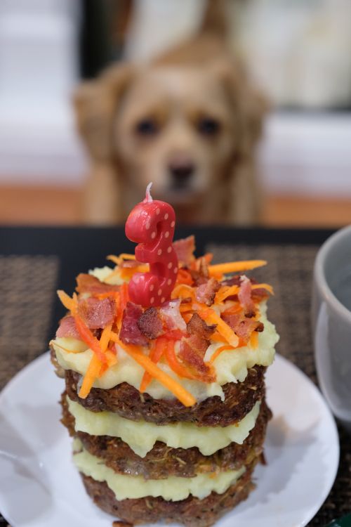 Free A three-layer homemade dog cake topped with bacon and carrot decorations, plus a birthday candle. Stock Photo