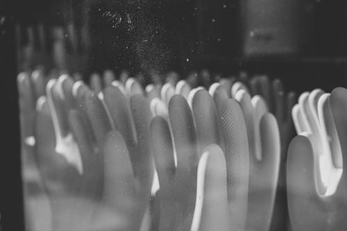 Grayscale Photograph of Gloves