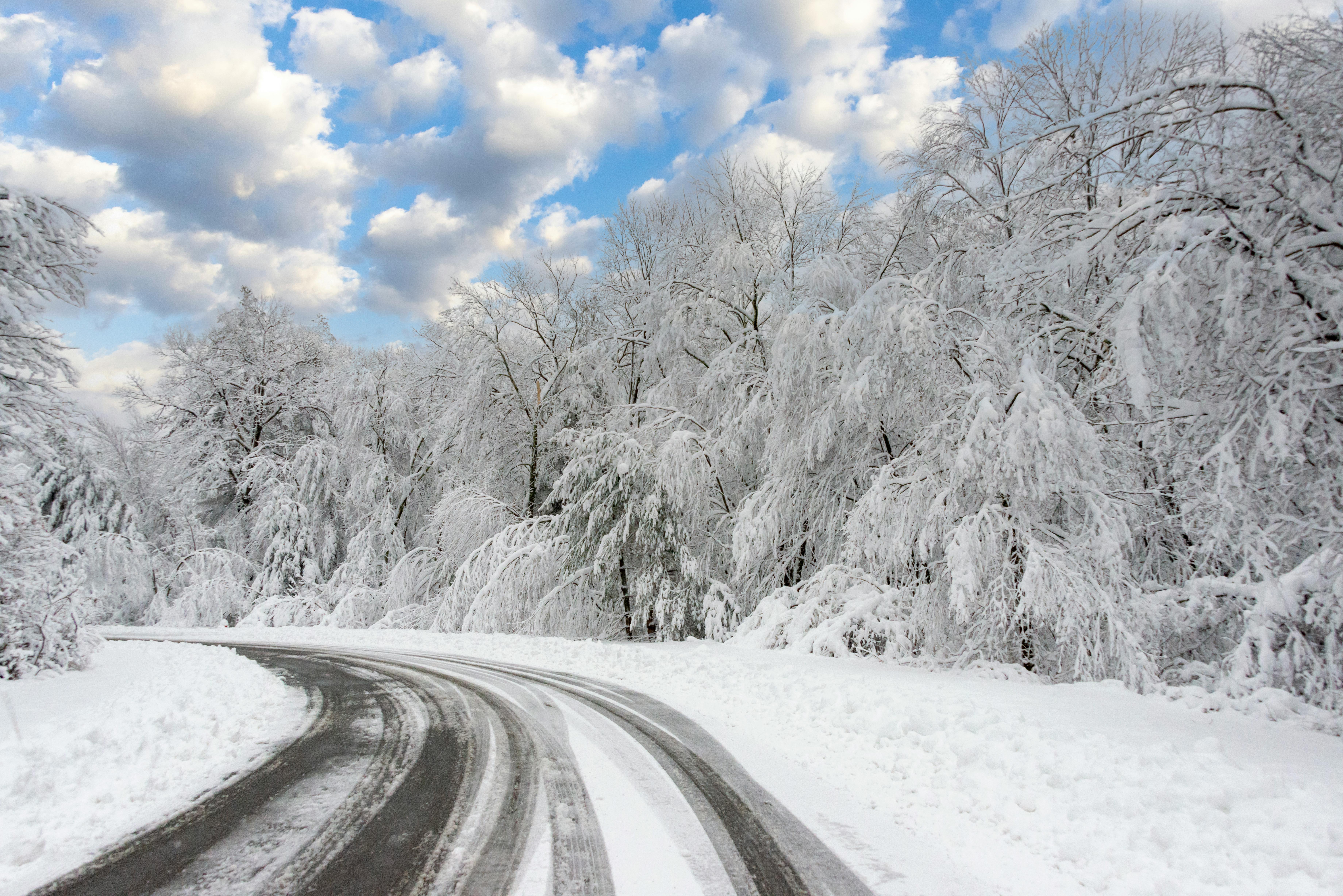 Beautiful winter scene of a snowy road curving through snow-laden trees under a cloudy sky.