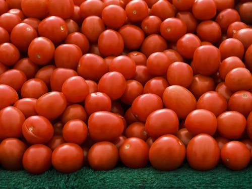 Bunch of Red Tomatoes on a Stand