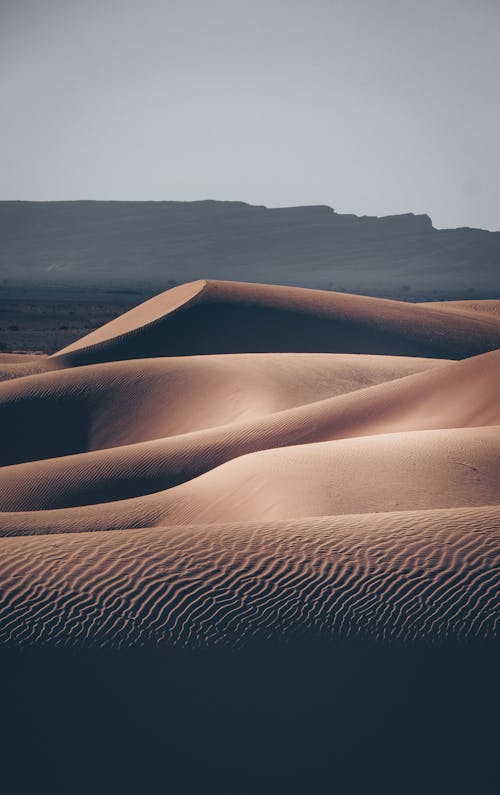 Free Brown Sand Under a Gray Sky Stock Photo