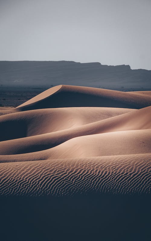 Brown Sand Under a Gray Sky