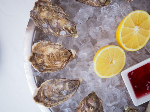 Free Delicious fresh oysters arranged on ice with lemon slices and sauce. Stock Photo