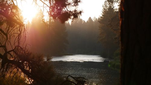 Free stock photo of beautiful nature, beauty in nature, beauty of nature Stock Photo