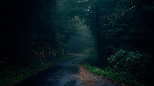 Free stock photo of asphalt road, beautiful nature, beauty of nature Stock Photo