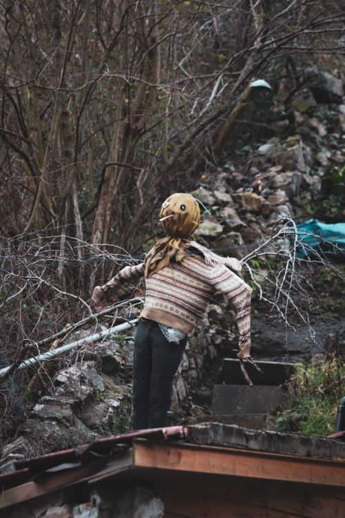 Free A haunting scarecrow stands among bare trees, creating a spooky atmosphere. Stock Photo