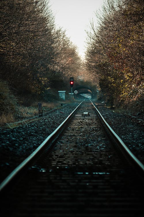 Fotos de stock gratuitas de árboles desnudos, ferrocarril, grava