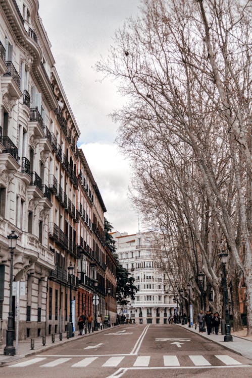 Fotos de stock gratuitas de acera, arboles, arquitectura