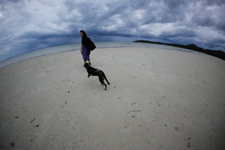 A Black Dog Following The Woman Walking 