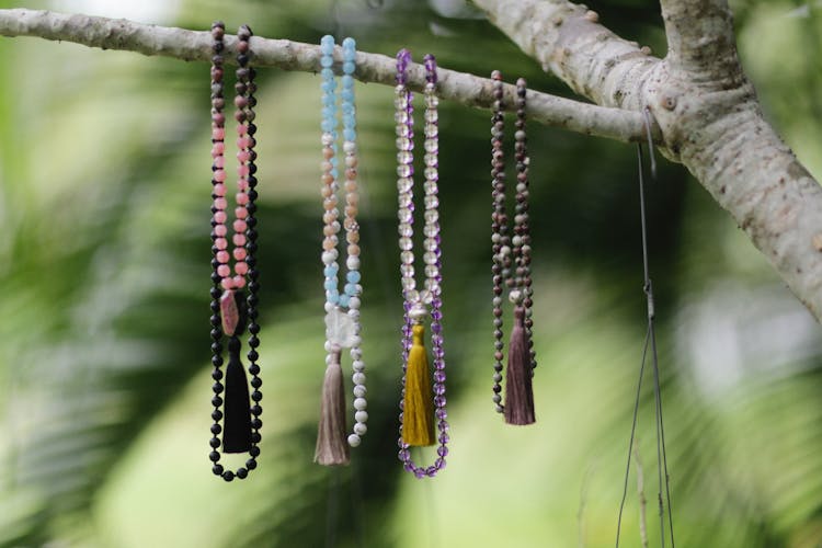 Beaded Necklaces Hanging On Tree Branch 