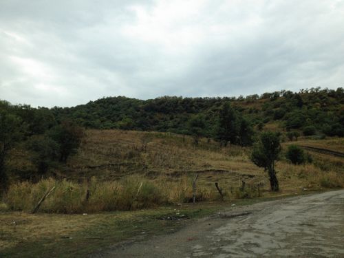 Free Tranquil rural landscape with grassy hills and trees beneath a cloudy sky. Stock Photo