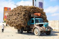 A heavily loaded truck with dried vegetation drives through Mogadishu, Somalia, under sunny skies.