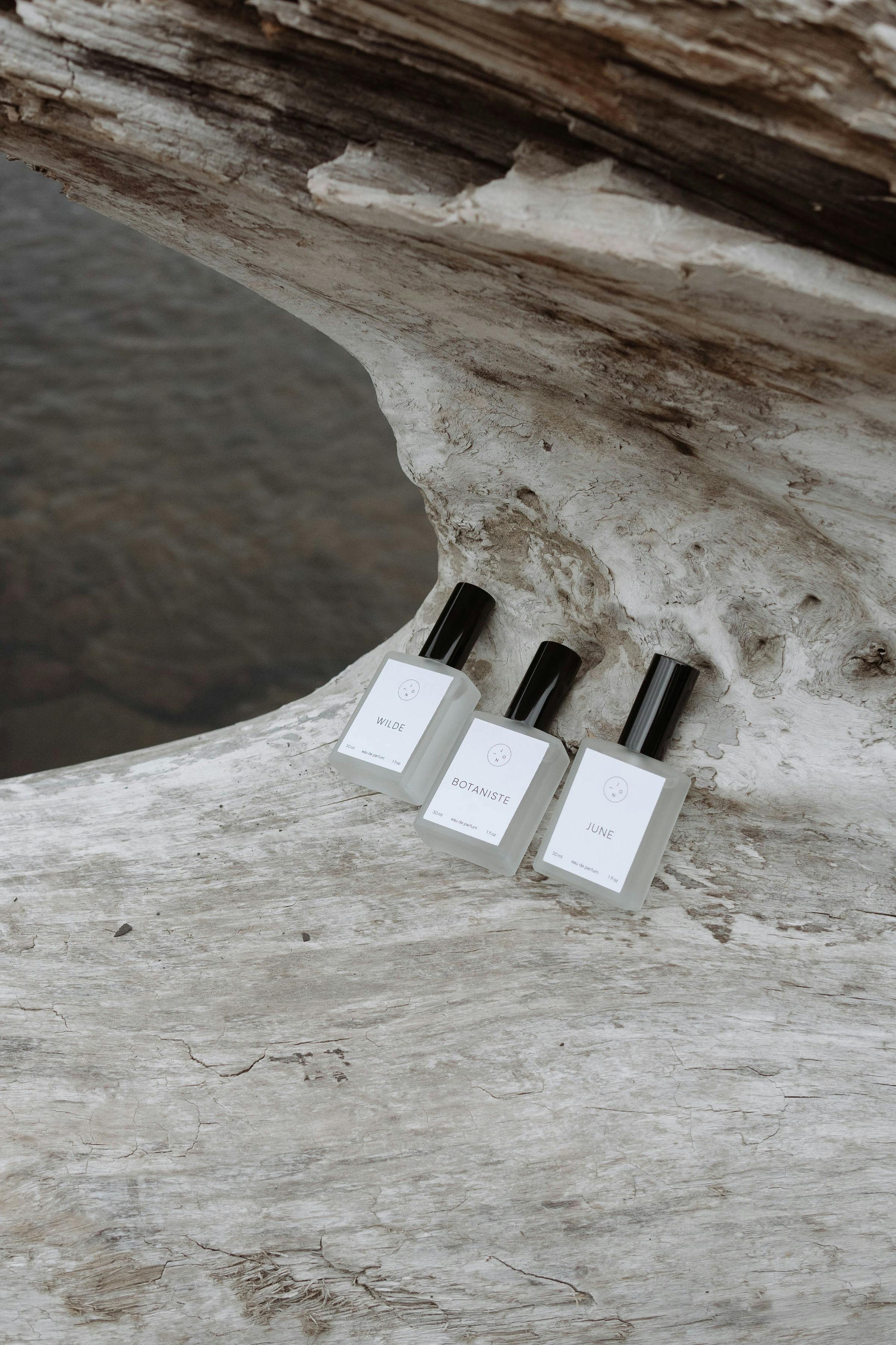 Stylish perfume bottles arranged on driftwood, perfect for product display.