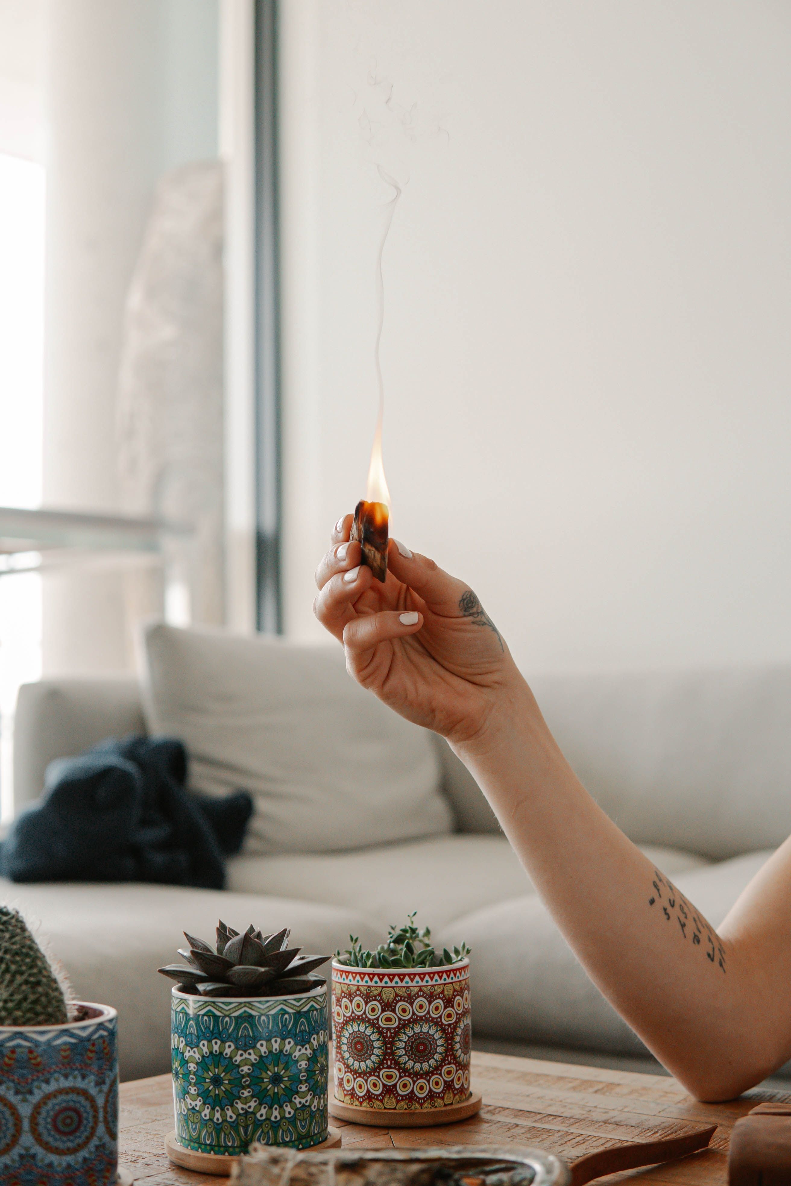 A serene scene of a hand holding a lit incense stick beside decorative succulent pots.