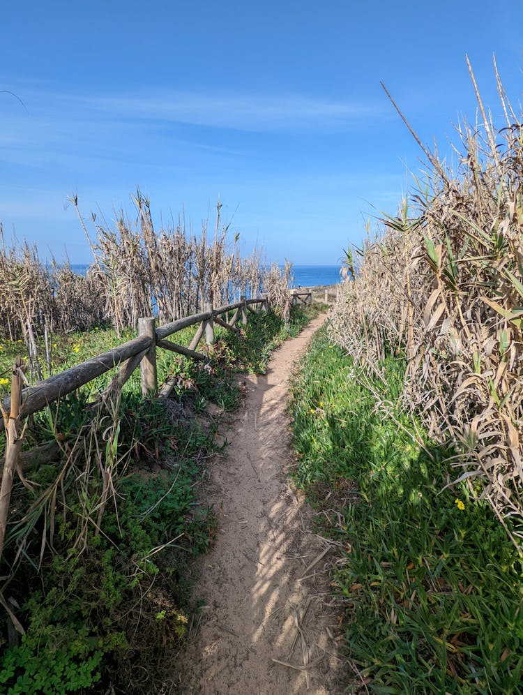 Path Leading Into Sea