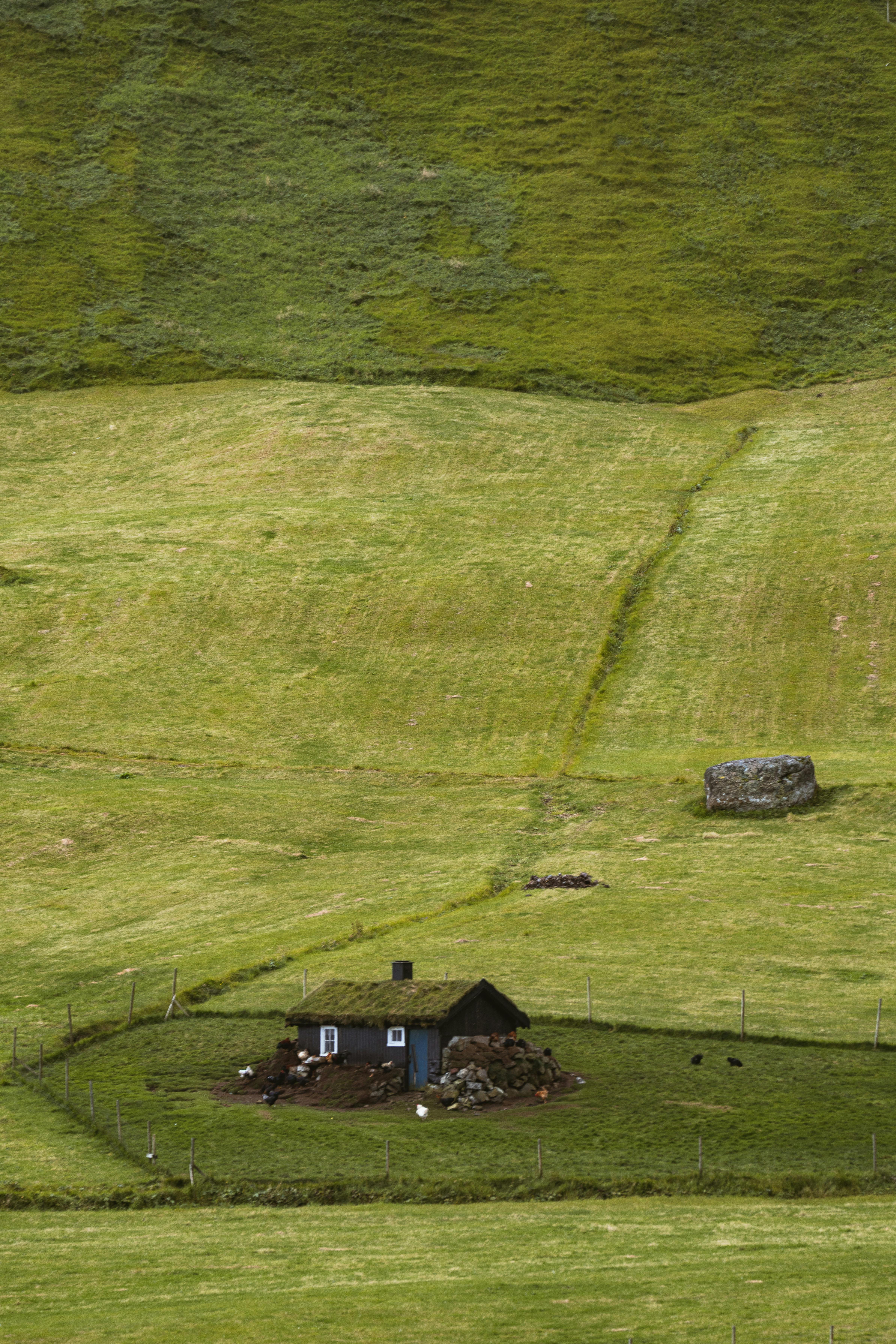Charming rural cottage surrounded by lush green fields and rolling hills.