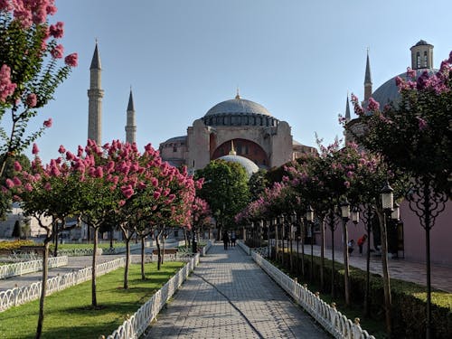 Free stock photo of hagia sophia, hagia sophia grand mosque