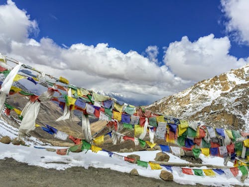 Free stock photo of ladakh, mountain, prayer flag