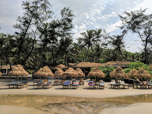 Chairs and Nipa Huts