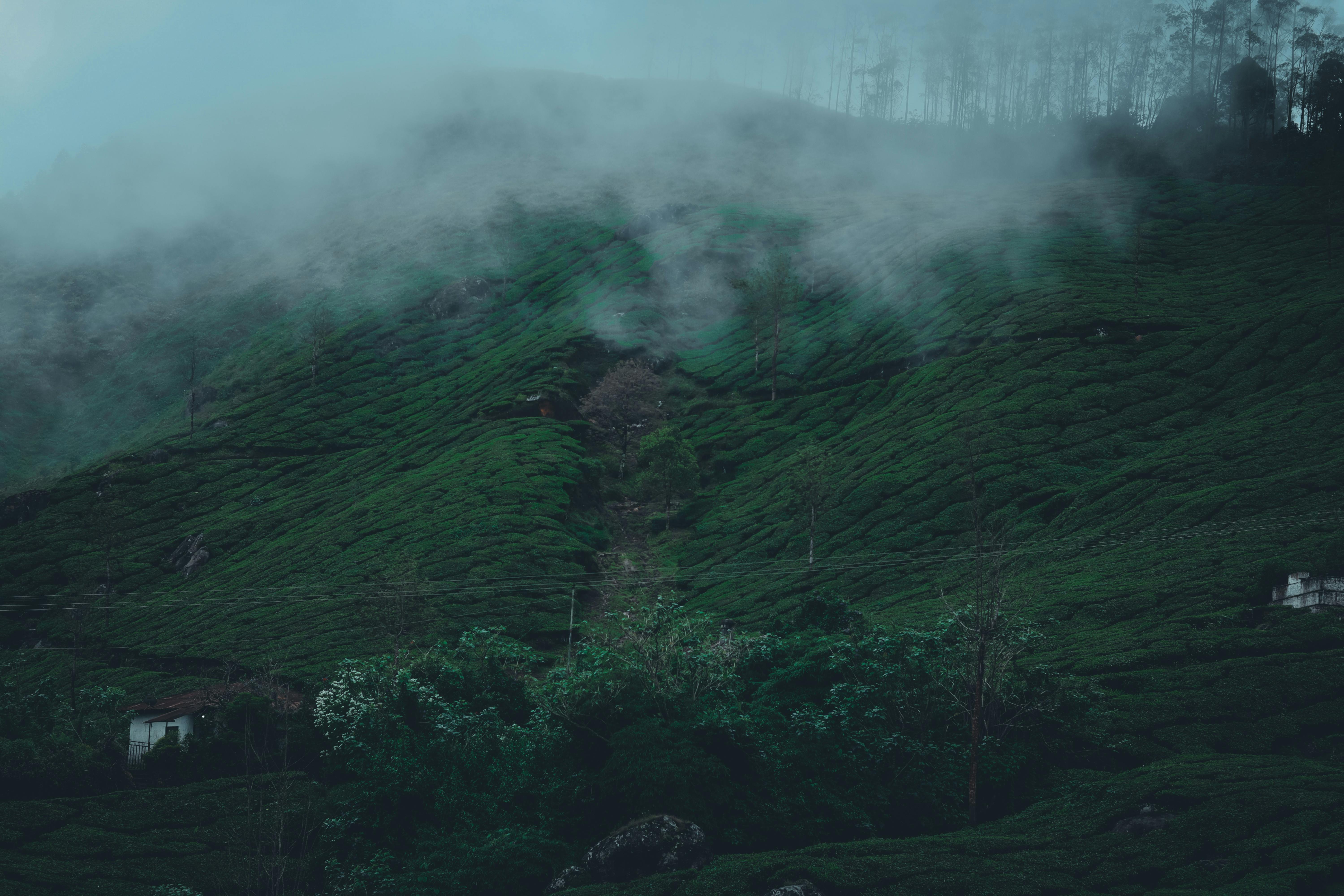 Beautiful misty landscape of green hills in KL, India, captured from above with lush greenery and rolling fog. 풍경 사진