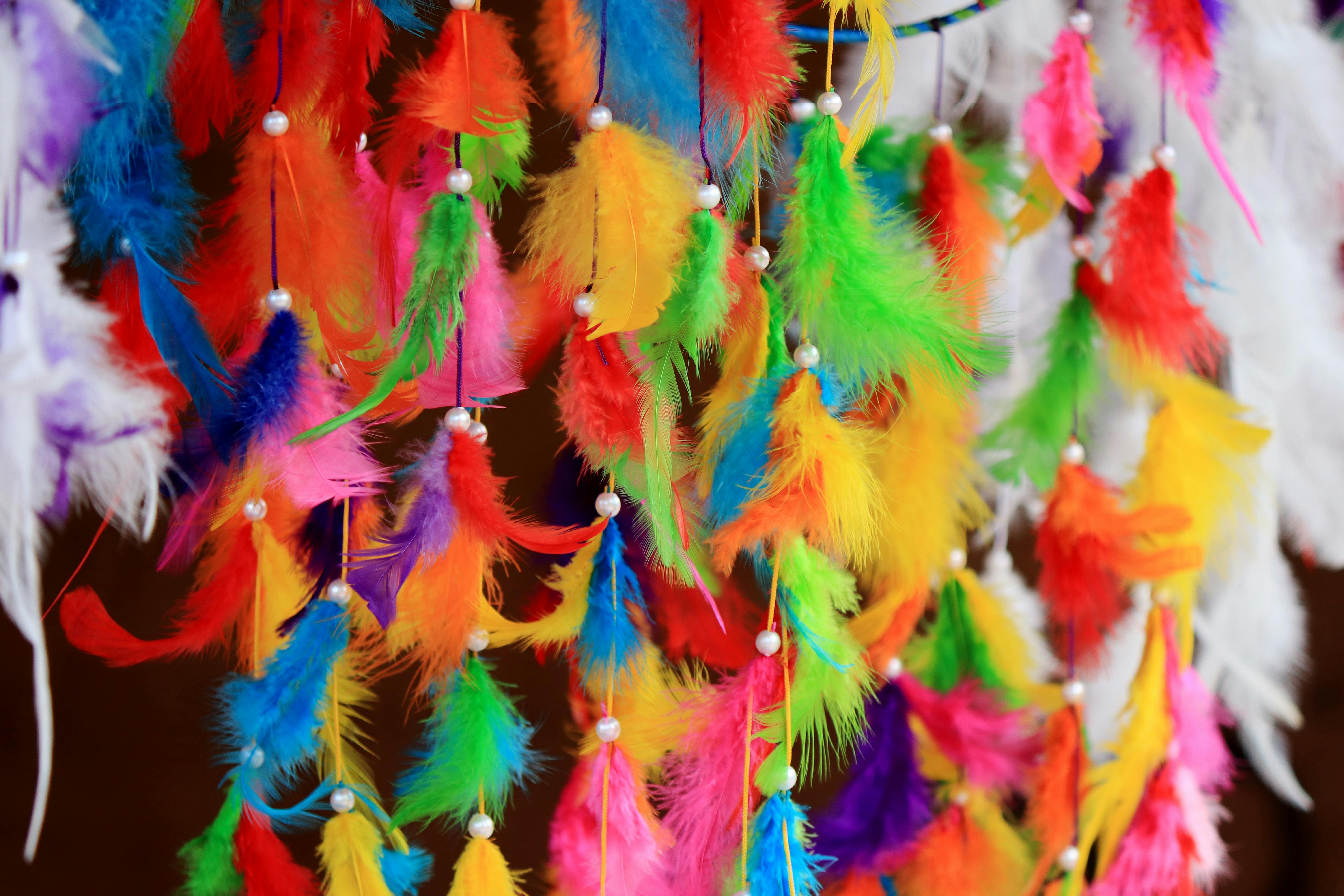 日本の地方で提供される新鮮な海鮮丼