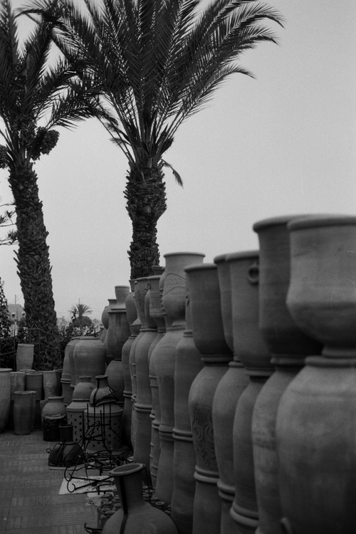 Free Black and white photo of stacked clay jars near palm trees, St. Petersburg. Stock Photo
