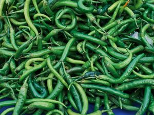 Pile of fresh green chillies — photo by Engin Akyurt on Pexels