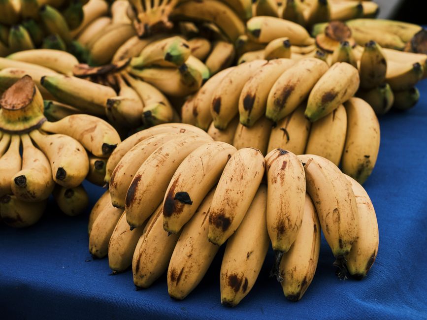 Bunch of bananas at various ripeness stages on a kitchen counter