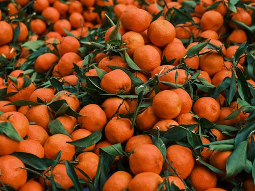 Fresh Orange Fruits