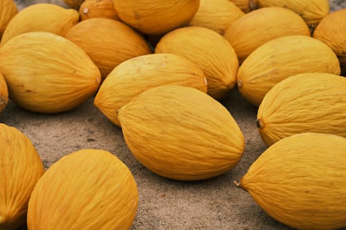 Yellow Fruits on Ground