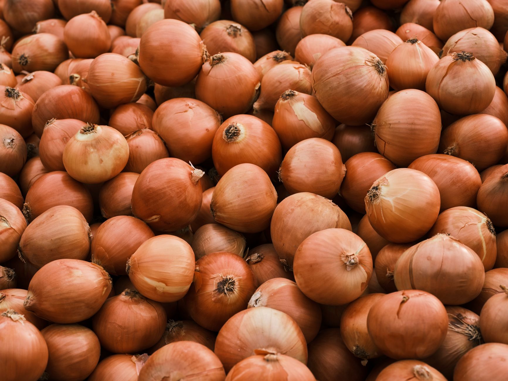 A vibrant close-up shot of a large pile of fresh brown onions at a market.