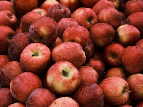 Foto profissional grátis de fechar-se, fresco, maçãs vermelhas