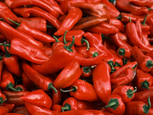 Free Red Chili Peppers on White Background Stock Photo