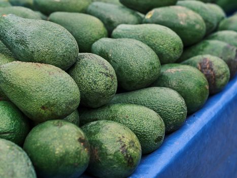Avocado (Hass)